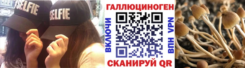 kraken сайт  Славянск-на-Кубани  Псилоцибиновые грибы MAGIC MUSHROOMS  цена наркотик 